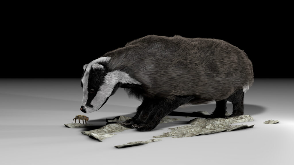 Dachs 3D