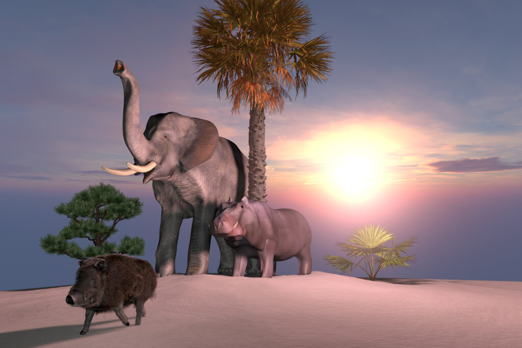 Elefant, Nilpferd, Wildsau 3D Szene