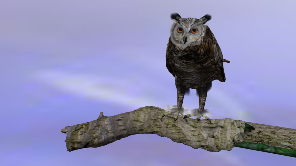 Eule 3D