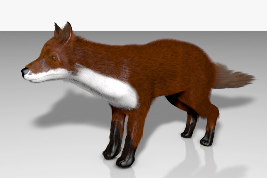 Fuchs 3D