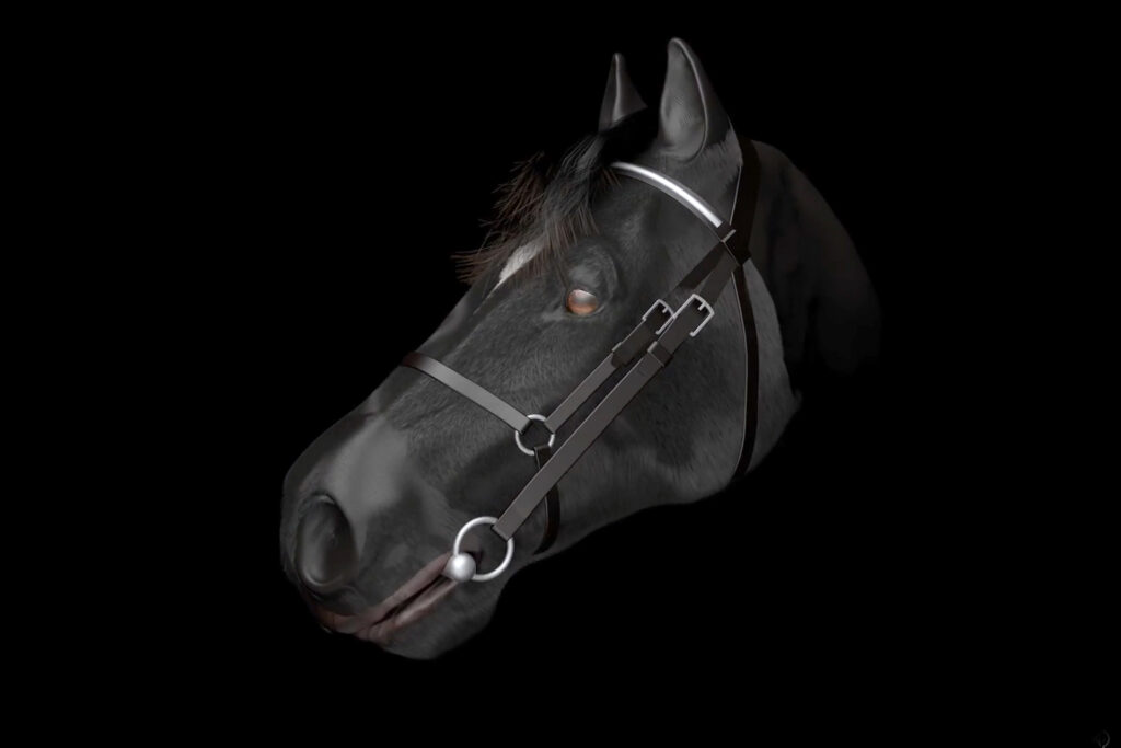Pferd mit Trense 3D